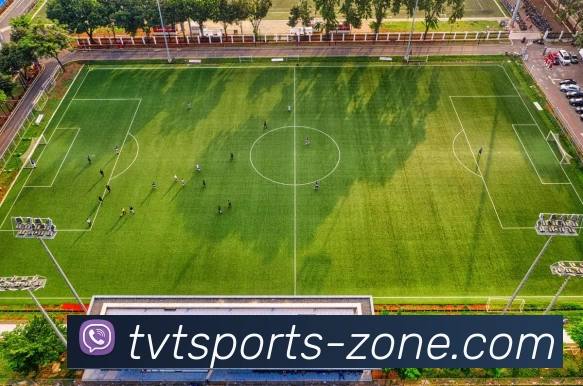 TVT体育资讯平台生态图